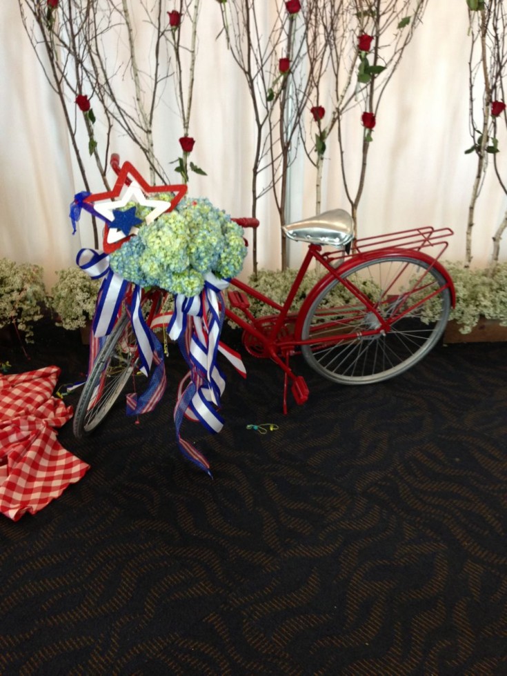 Patriotic Display Bike