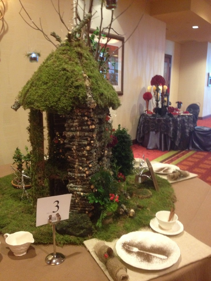 TNSFA Convention Tabletop Competition