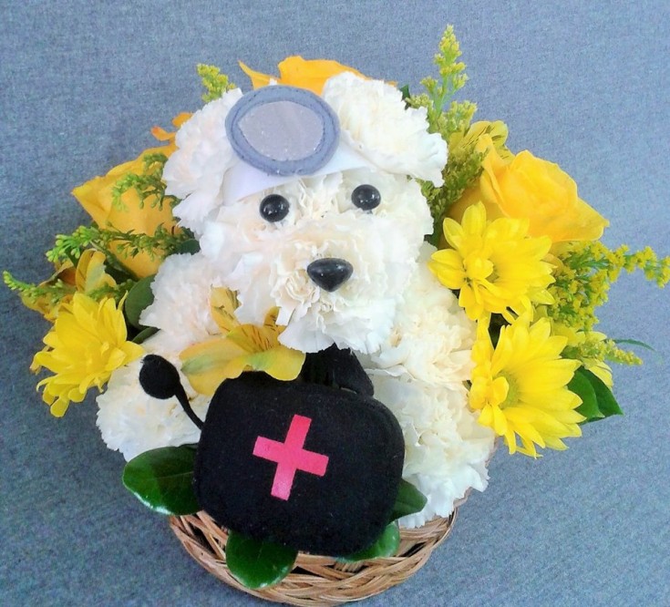 'The Doctor is In' at Marshfield Blooms in Marshfield, MO