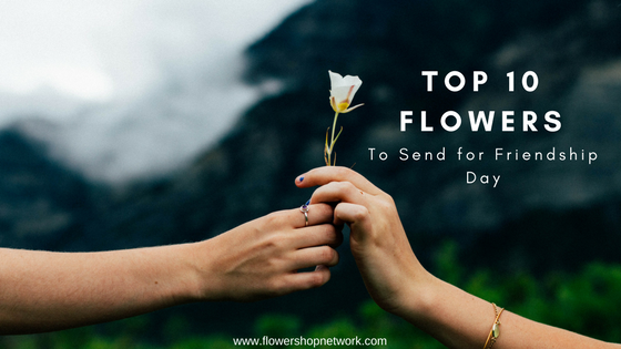 Top 10 Flowers to Send for Friendship Day