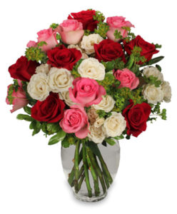 310.425 - Bloomin' Blog