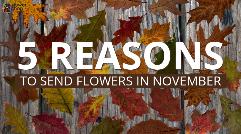 5 Reasons to Send Flowers in November