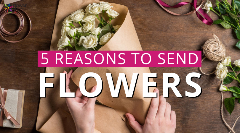 Reasons to Send Flowers