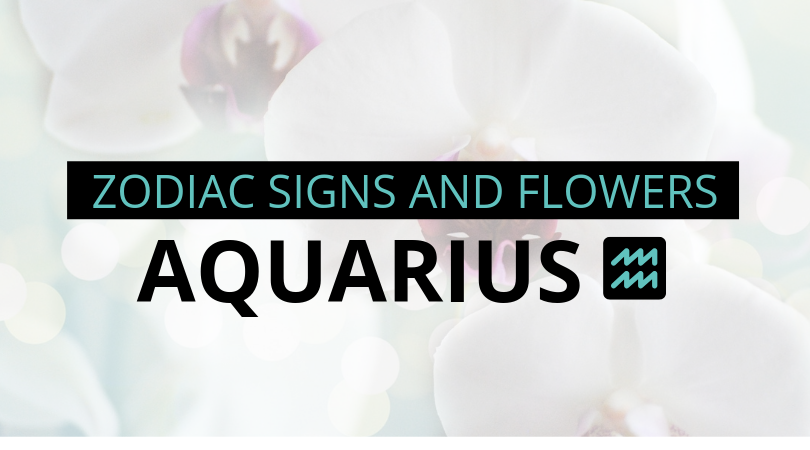 Aquarius