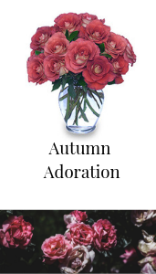autumn adoration vase of leondis roses