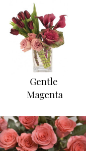 gentle magenta arrangement