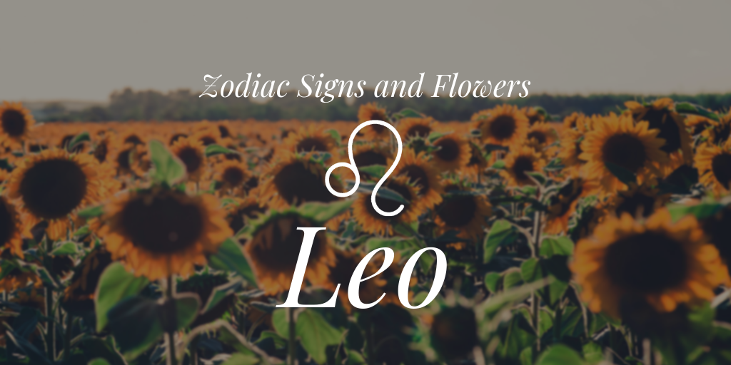 Leo  Zodiac sign and flower 