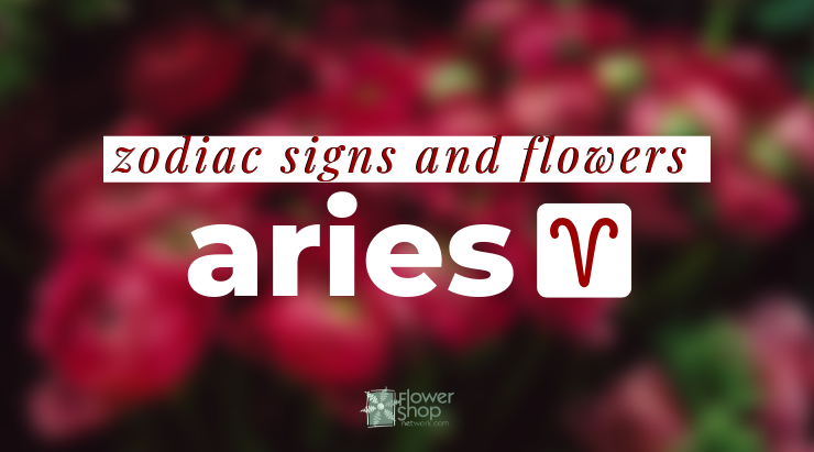 Aries Zodiac Sign and Flowers