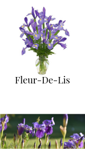 fleur de lis iris vase