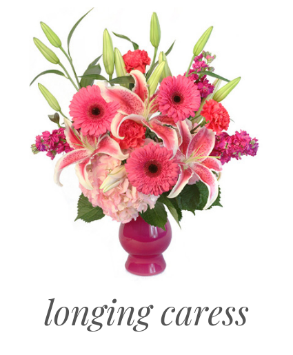 longing-caress-