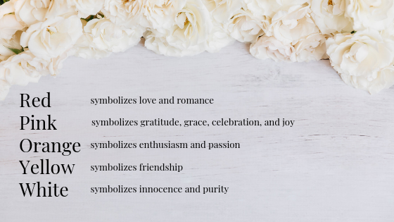 The History of Roses: Why Are They So Romantic & Symbolic?