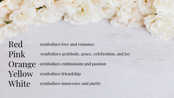 Rose Flower Meanings, Symbolism, History & Mythology