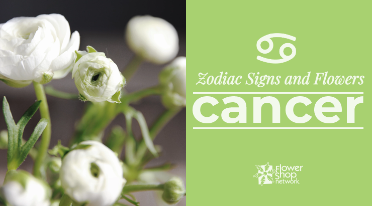 Zodiac Signs And Flowers Cancer