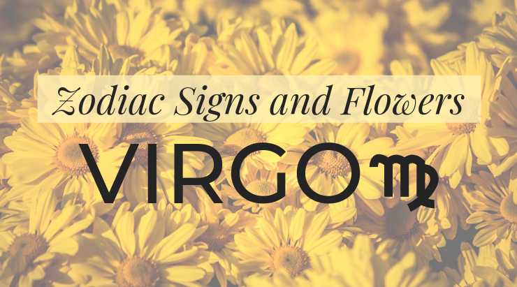 virgo zodiac sign and flowers