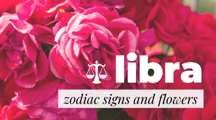 Libra