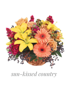 sun-kissed-country-