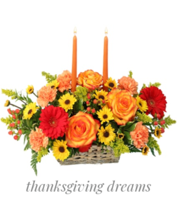 thanksgiving-dreams