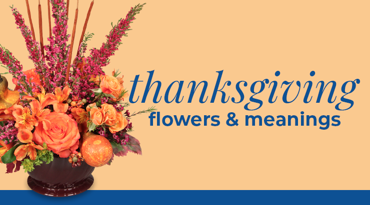 thanksgiving flowers and meanings