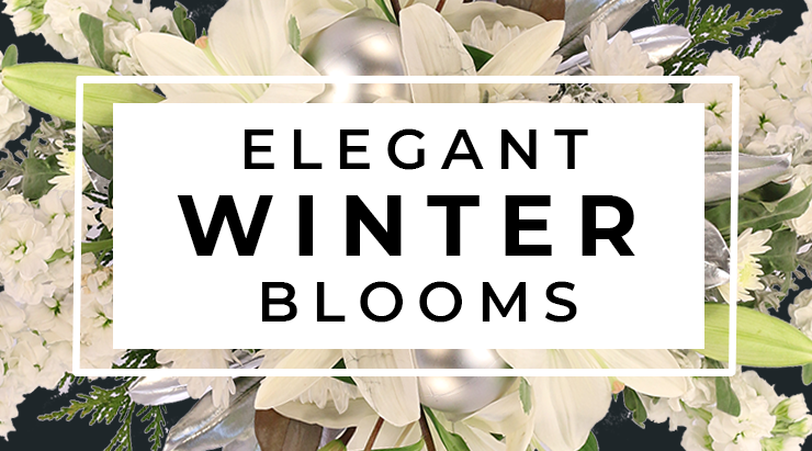 A Winter Floral Arrangement That Feels Like Spring