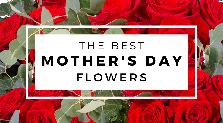 The Best Mother's Day Flowers