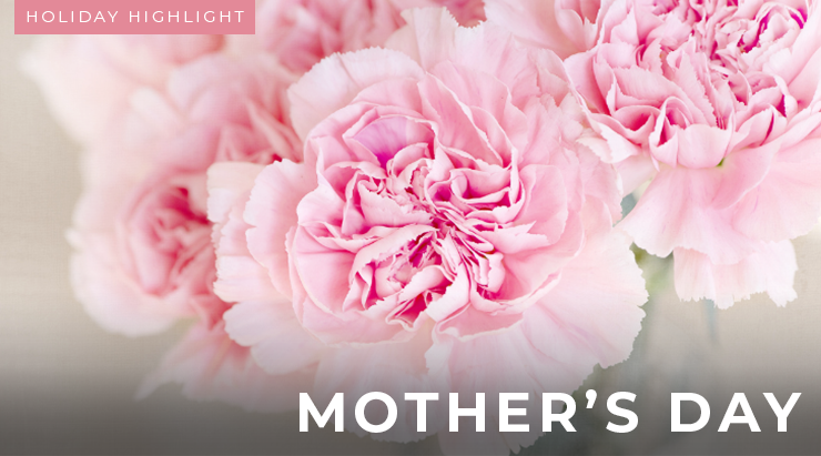 Send a plant deals for mother's day