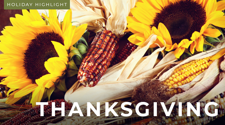 Sunflowers with corn cobs and the text "Holiday Highlight: Thanksgiving"