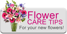 Flower Care Tips